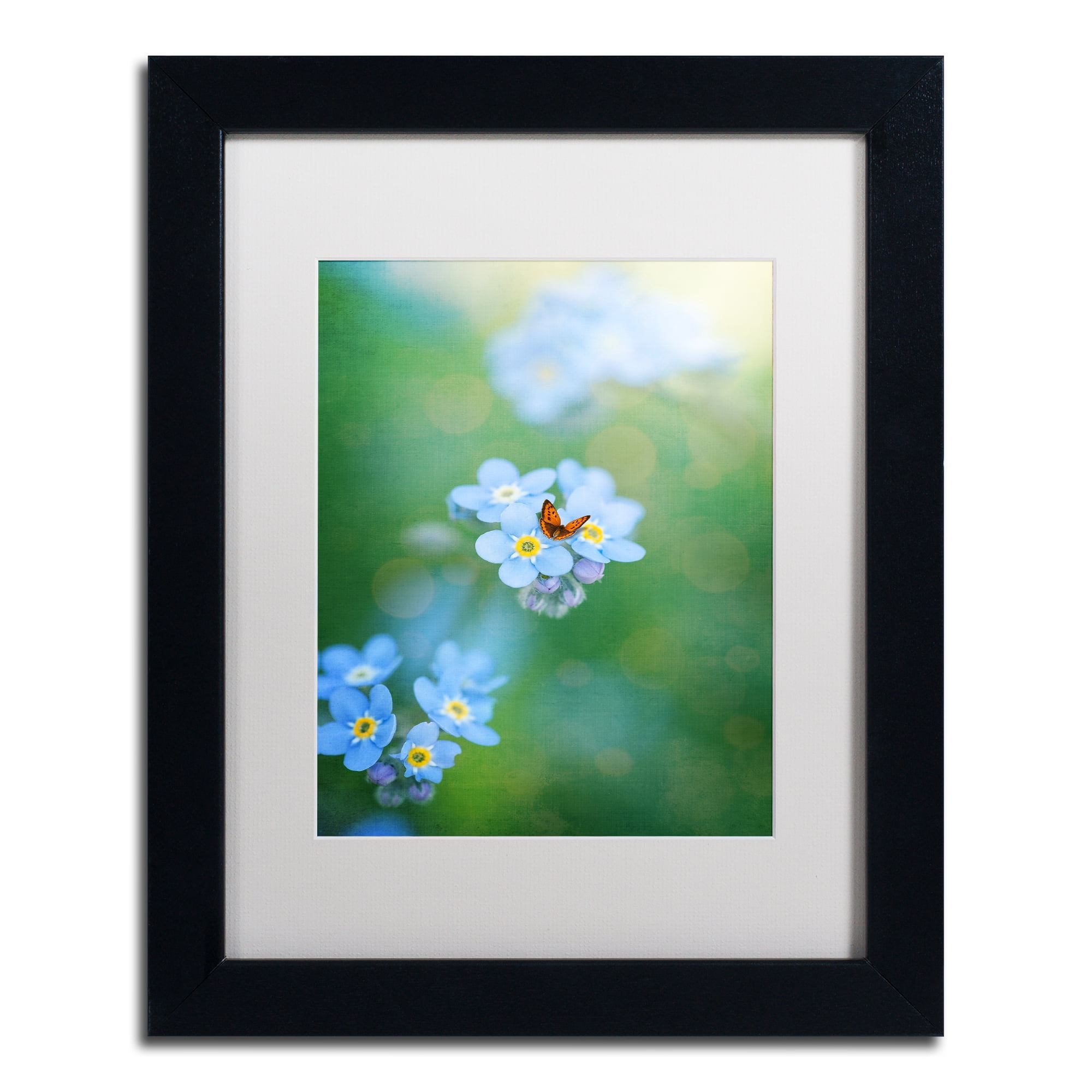 Trademark Fine Art Landscapes Matted Framed Art ' Forget-Me-Not ' by Philippe Sainte-Laudy