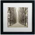 thumbnail image 1 of Trademark Fine Art Landscapes Matted Framed Art ' Hampton Gates Promenade III ' by Alan Blaustein, 1 of 4