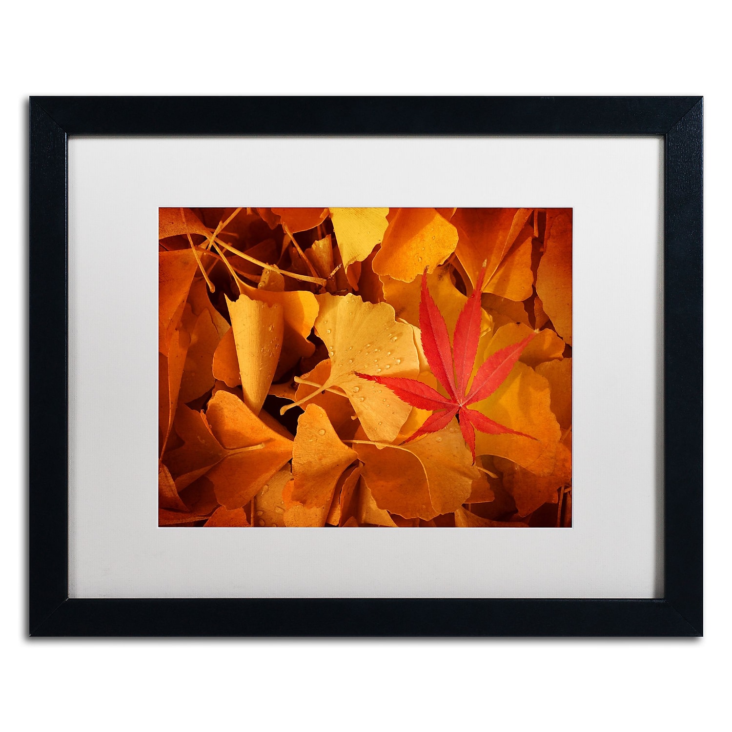 Trademark Fine Art Landscapes Matted Framed Art ' Lost & Found ' by Philippe Sainte-Laudy