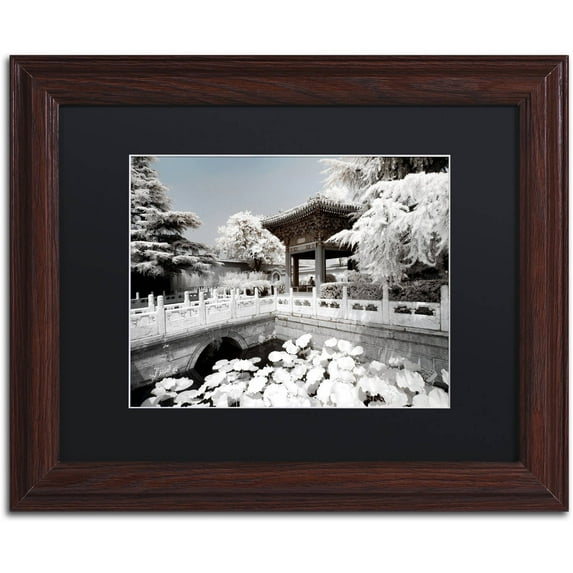 Trademark Fine Art Landscapes Matted Framed Art ' White Lotus ' by Philippe Hugonnard