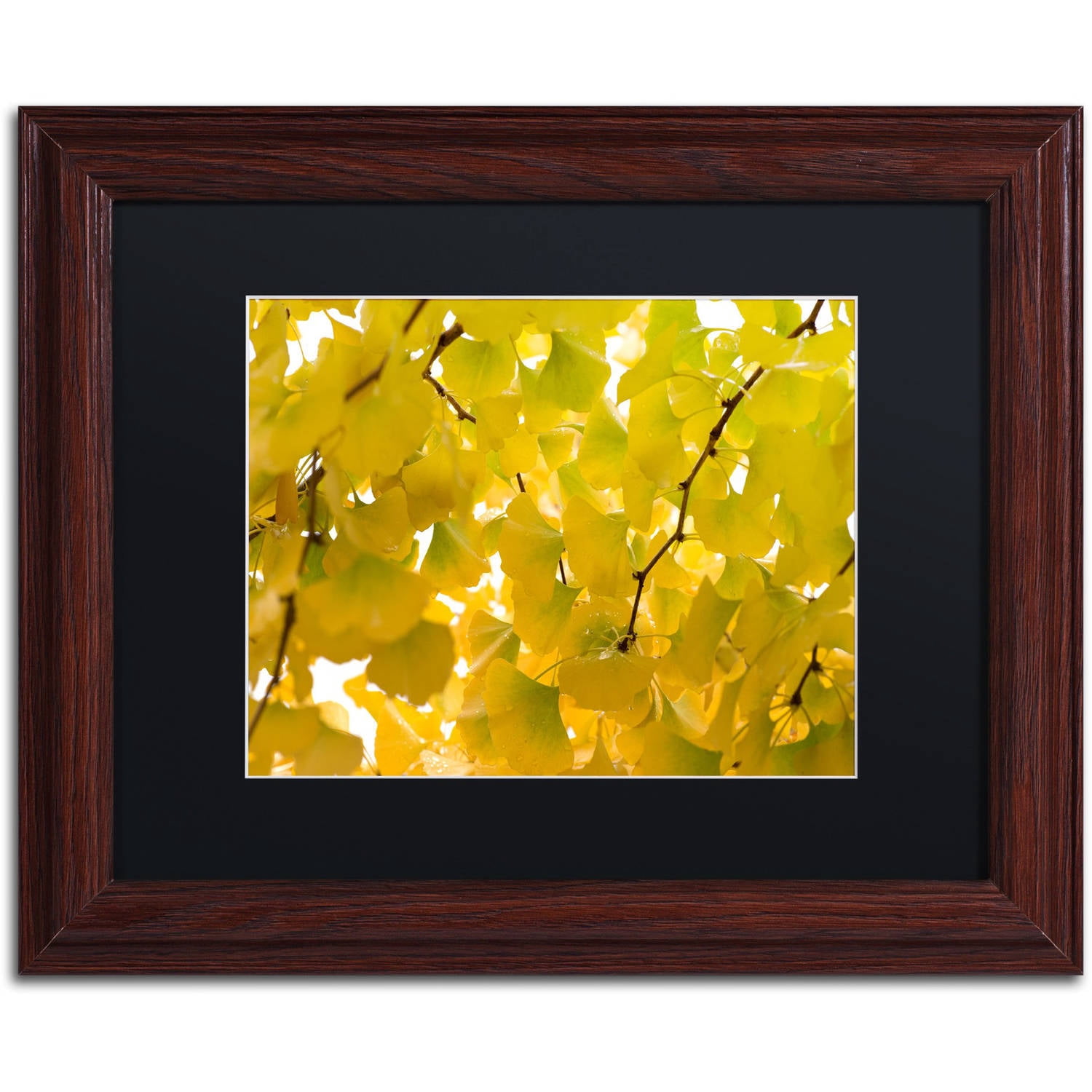 Trademark Fine Art Landscapes Matted Framed Art ' Yellow Autumn ' by Philippe Sainte-Laudy