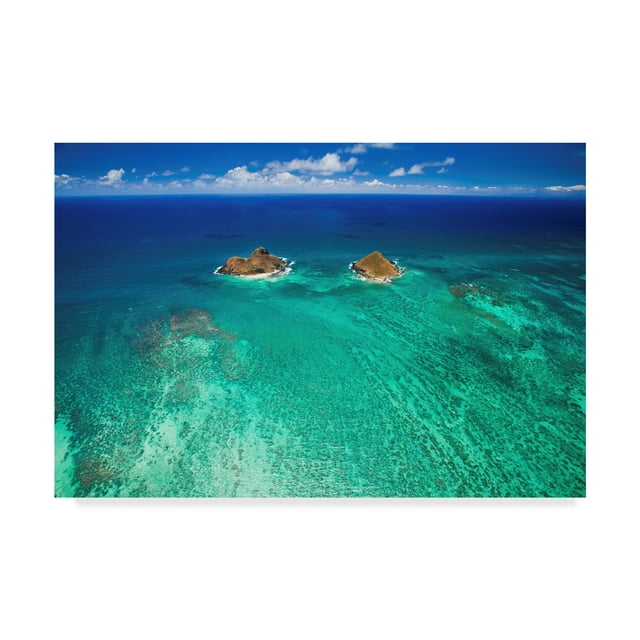 Trademark Fine Art 'Lanikai Reef' Canvas Art by Cameron Brooks