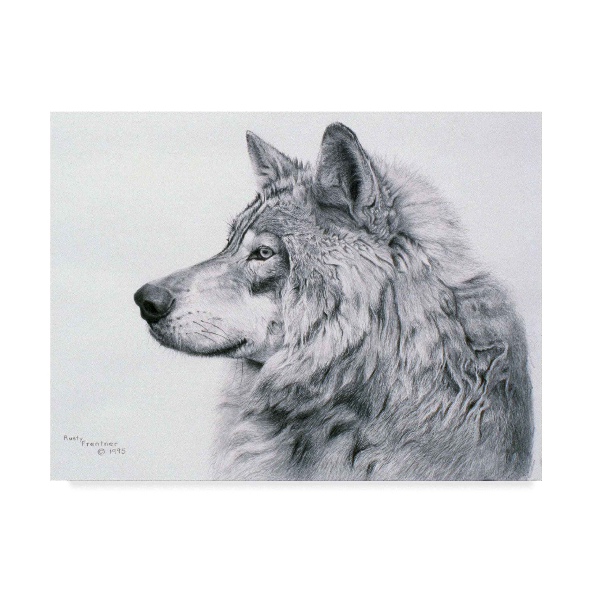 Trademark Fine Art 'Lanus Lupis' Canvas Art by Rusty Frentner