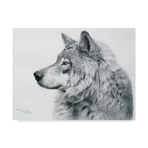 Trademark Fine Art 'Lanus Lupis' Canvas Art by Rusty Frentner