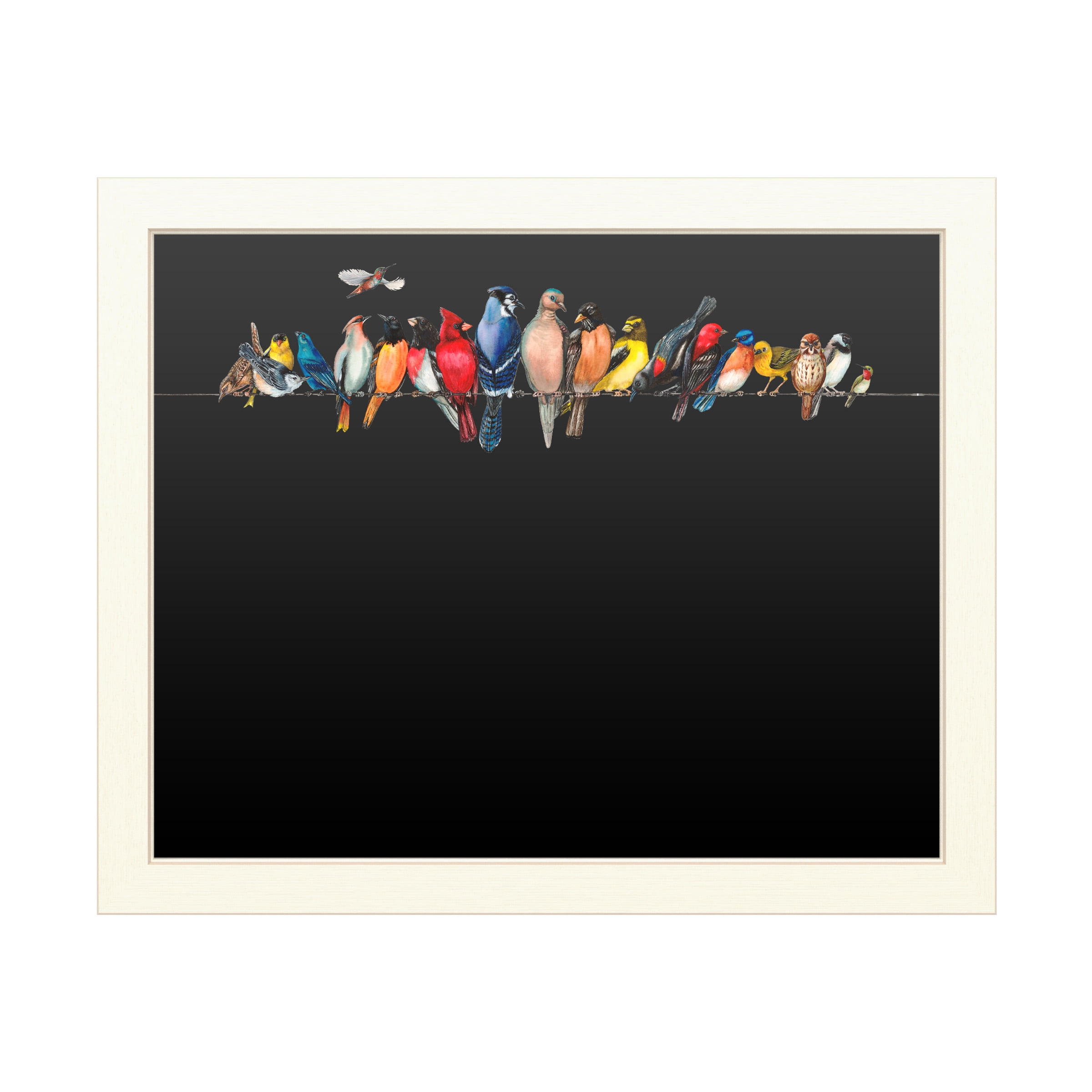 Trademark Fine Art 'Large Bird Menagerie Ii' Chalkboard by Wendy Russell