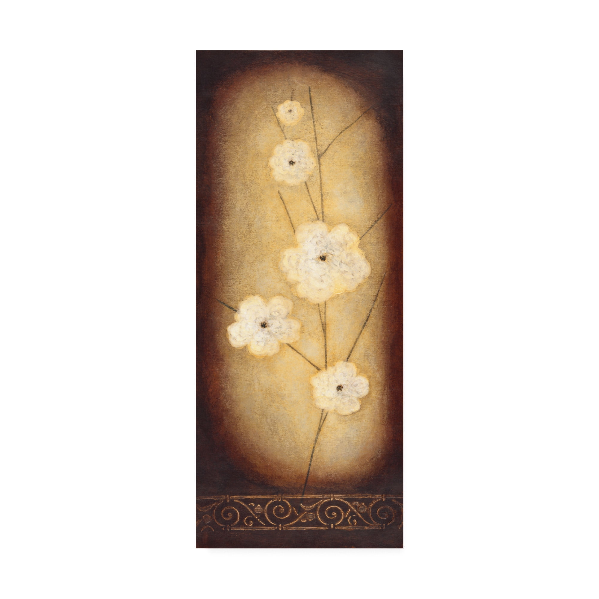 Trademark Fine Art 'Large White Flowers In Circle ' Canvas Art by Pablo Esteban
