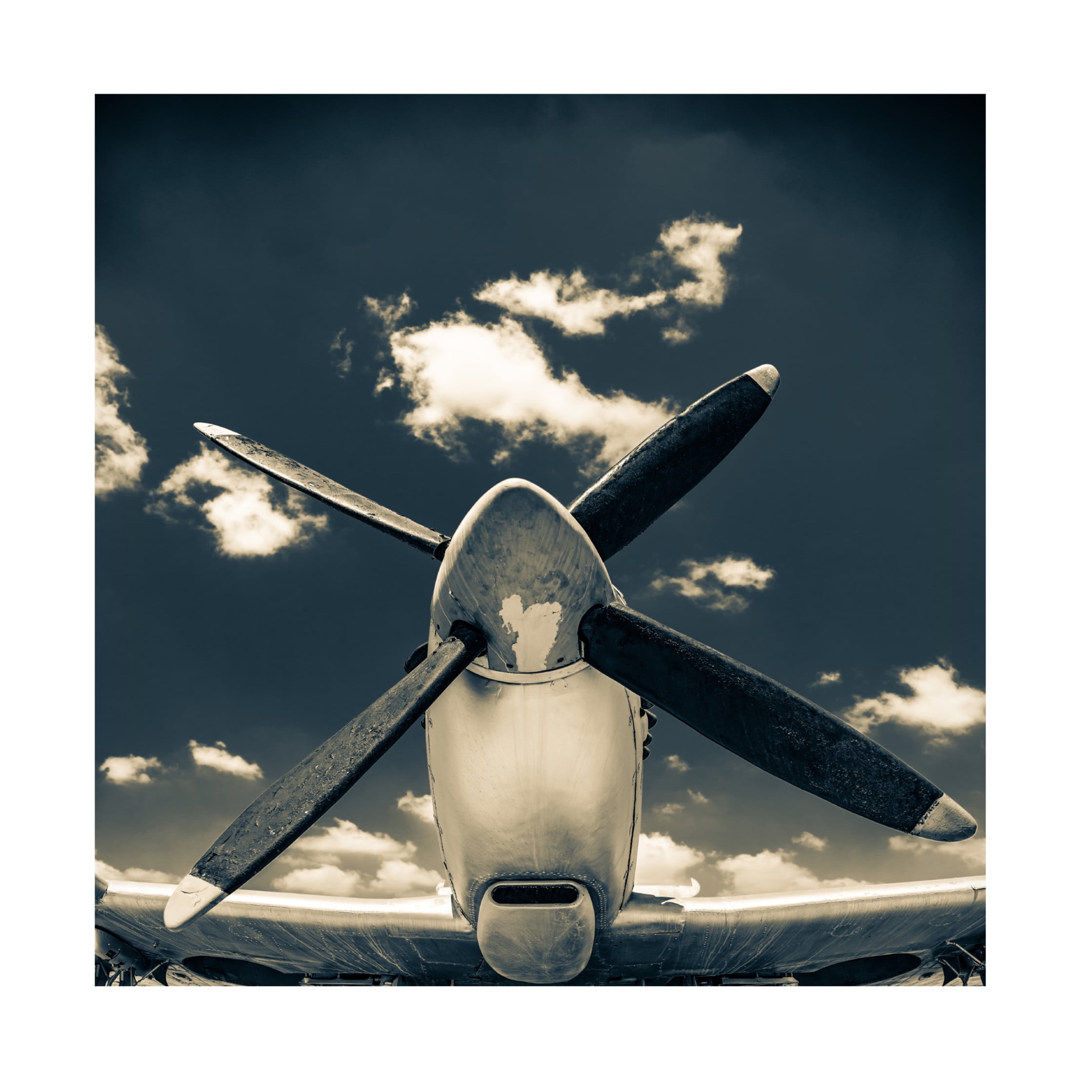 Trademark Fine Art Lari Haras Missing The Sky Canvas Wall Art