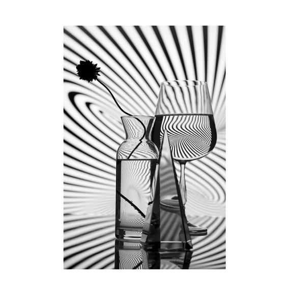 Trademark Fine Art Larisa Usmanova Glass And Lines Canvas Wall Art