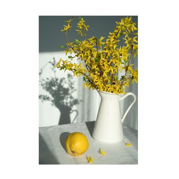 Trademark Fine Art Larisa Usmanova Still Canvas Wall Art