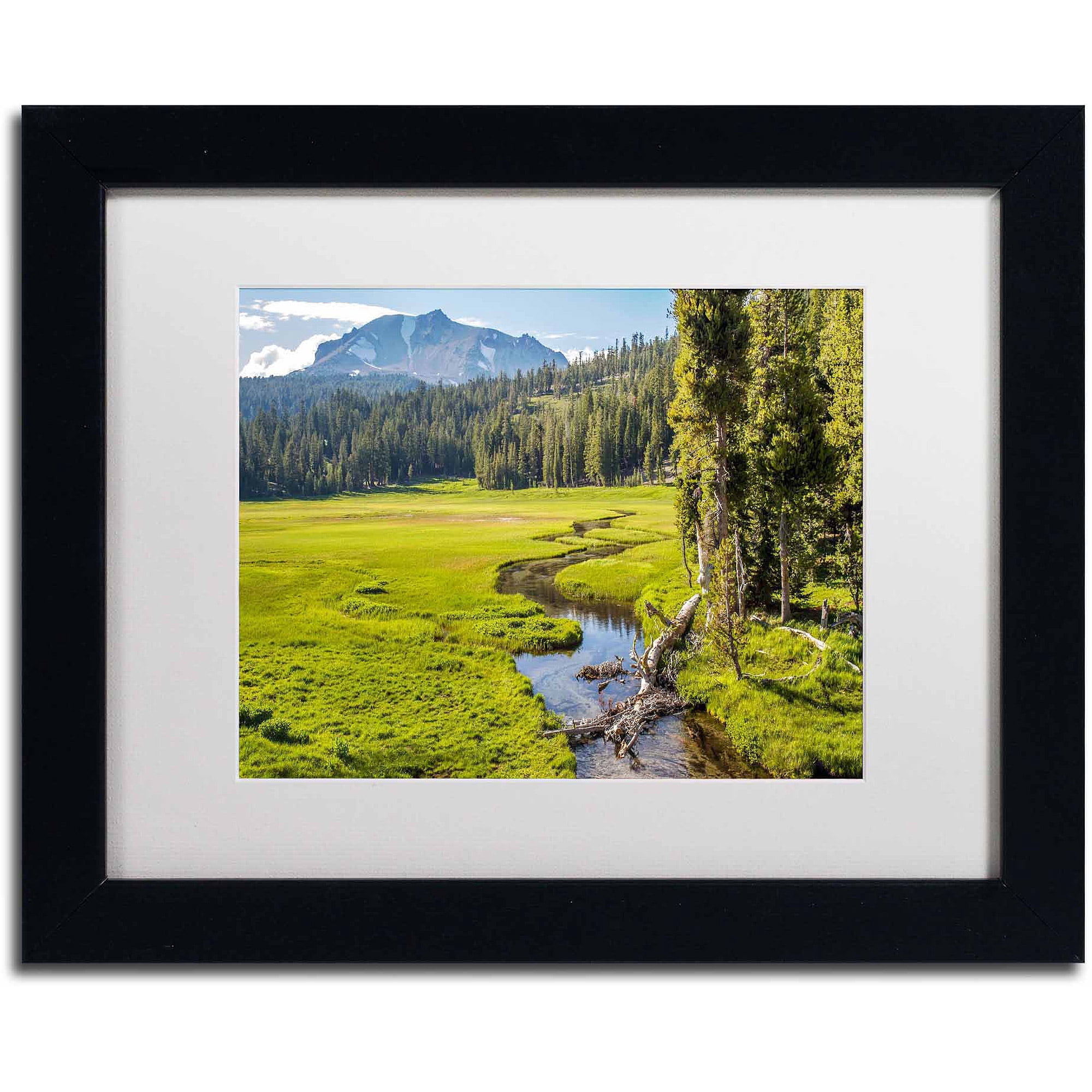 Trademark Fine Art "Lassen Meadow" Canvas Art by Pierre Leclerc, White Matte/Black Frame