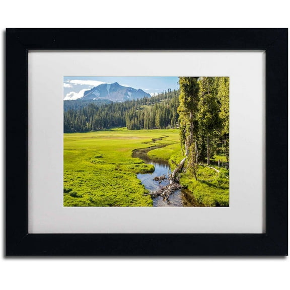 Trademark Fine Art "Lassen Meadow" Canvas Art by Pierre Leclerc, White Matte/Black Frame