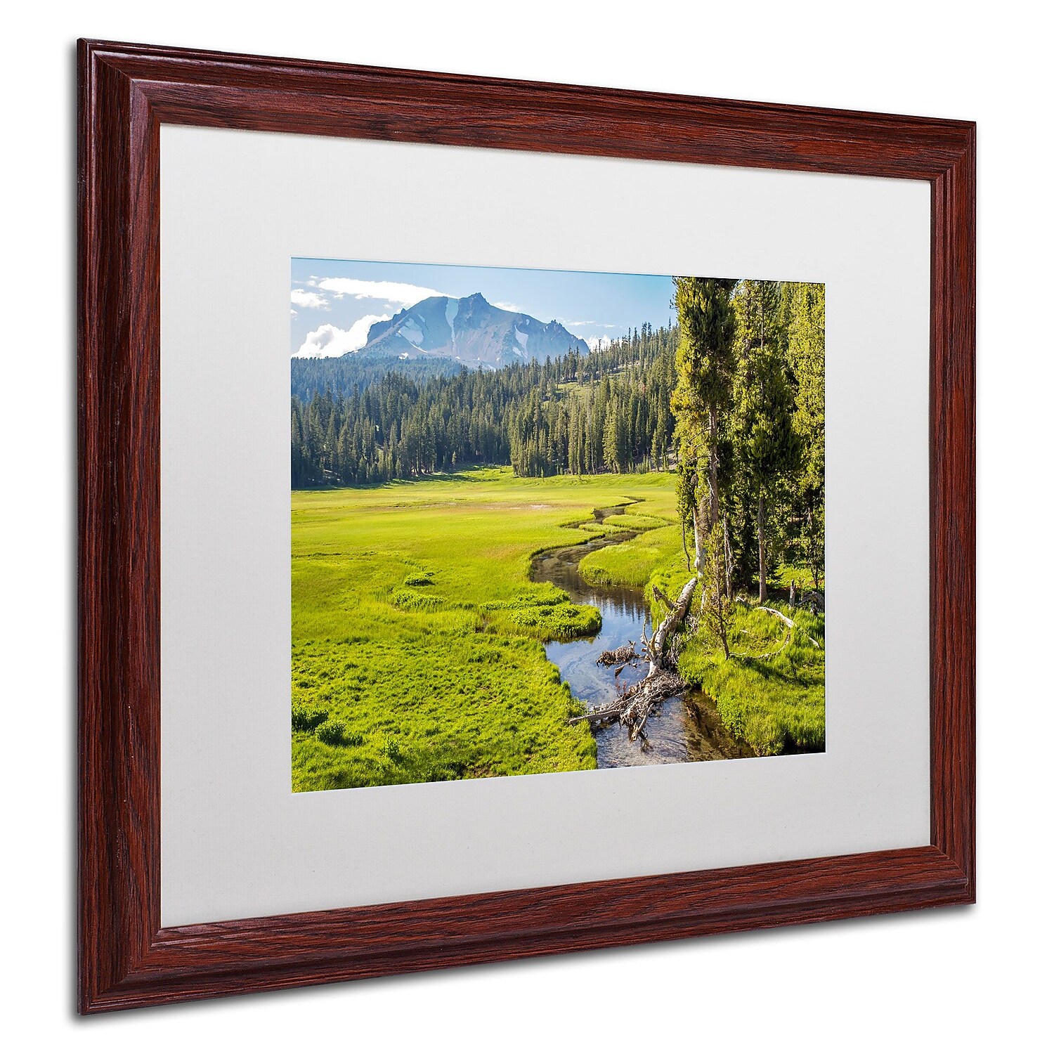 Trademark Fine Art "Lassen Meadow" Canvas Art by Pierre Leclerc, White Matte/Wood Frame