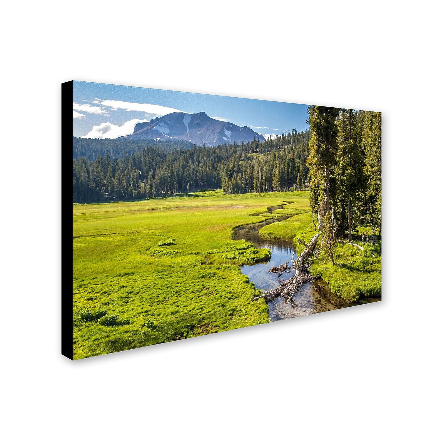 Trademark Fine Art "Lassen Meadow" Canvas Art by Pierre Leclerc