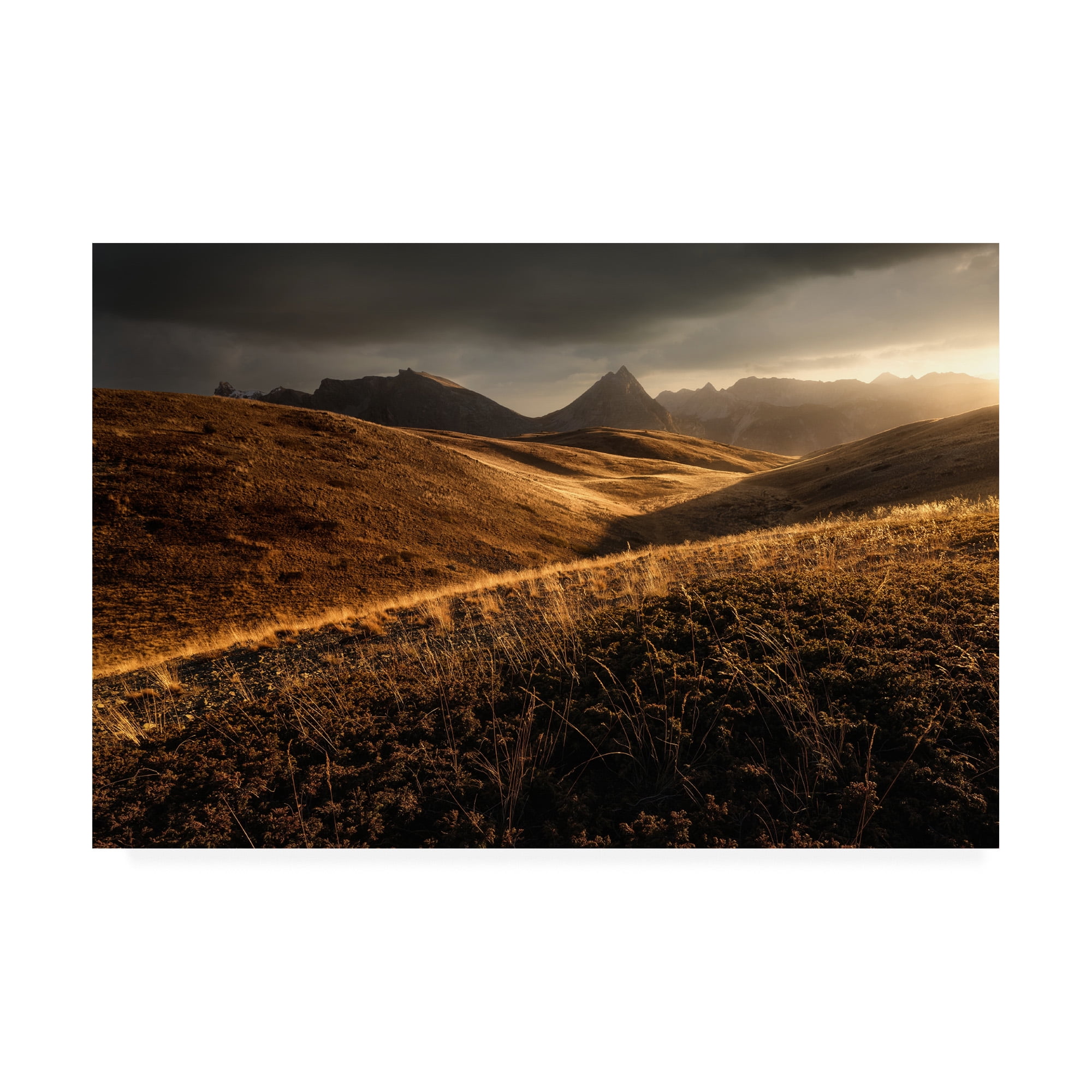 Trademark Fine Art 'Last Autumn Light' Canvas Art by Enrico Fossat
