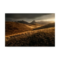 Trademark Fine Art 'Last Autumn Light' Canvas Art by Enrico Fossat