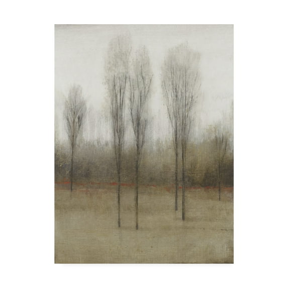 Trademark Fine Art 'Last Day of Fall I' Canvas Art by Tim OToole