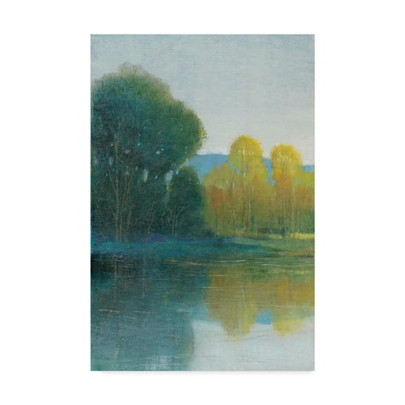 Trademark Fine Art 'Last Light I' Canvas Art by Tim OToole