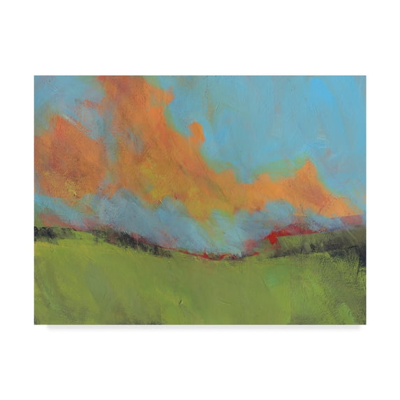 Trademark Fine Art 'Last of Light' Canvas Art by Paul Bailey