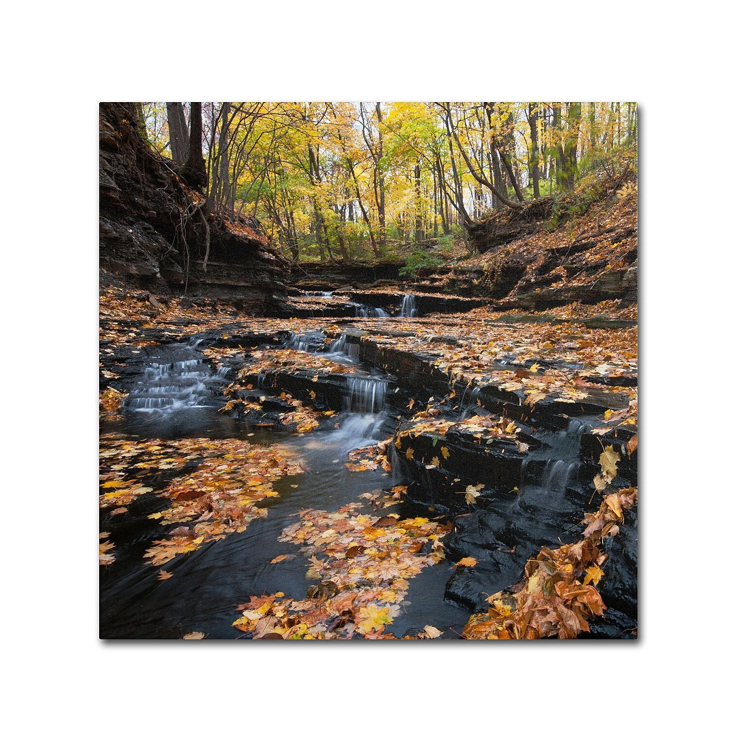 Trademark Fine Art "Late Autumn Falls" Canvas Art by Kurt Shaffer
