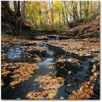 Trademark Fine Art "Late Autumn Falls" Canvas Art by Kurt Shaffer