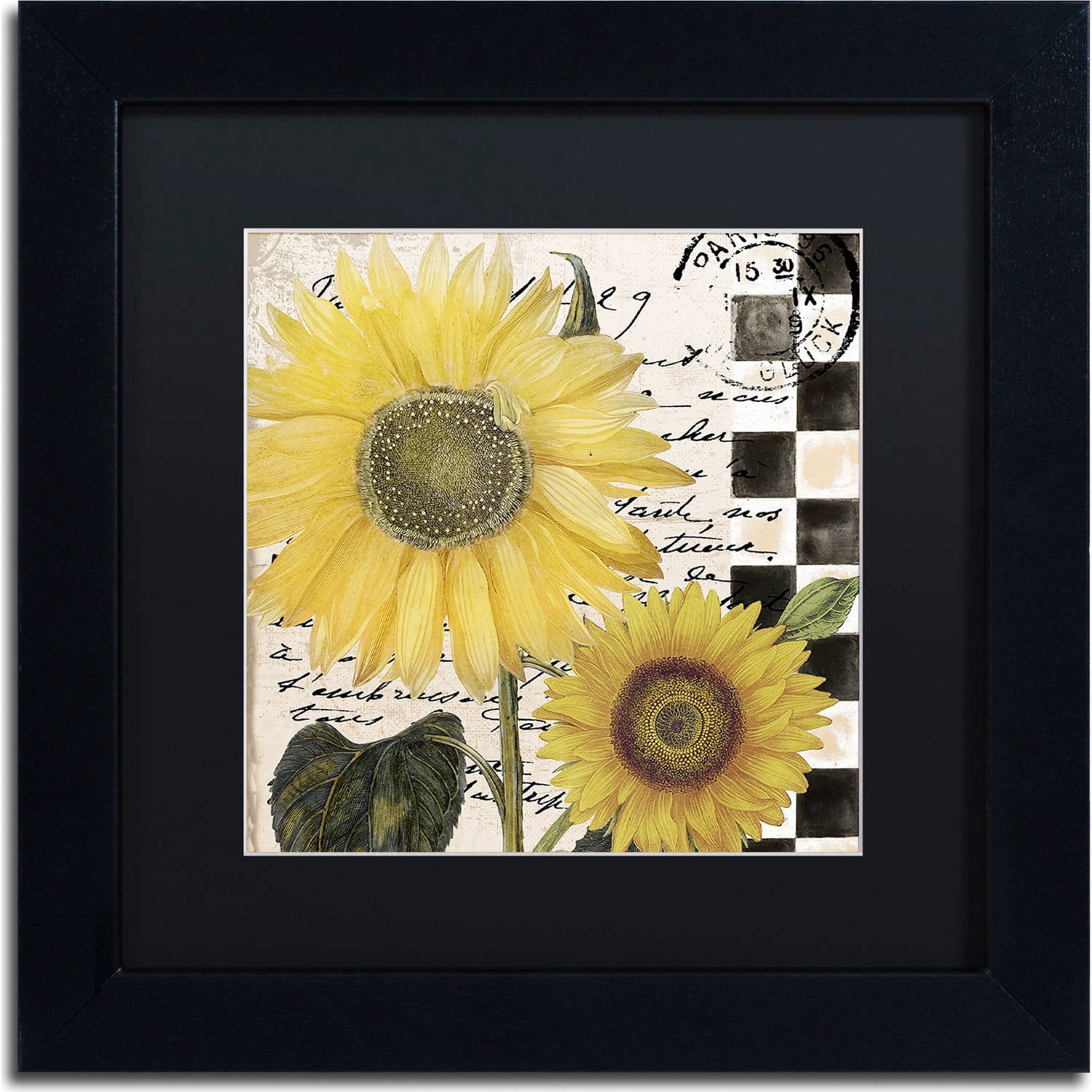 Trademark Fine Art "Late Summer I" Canvas Art by Color Bakery, Black Matte, Black Frame