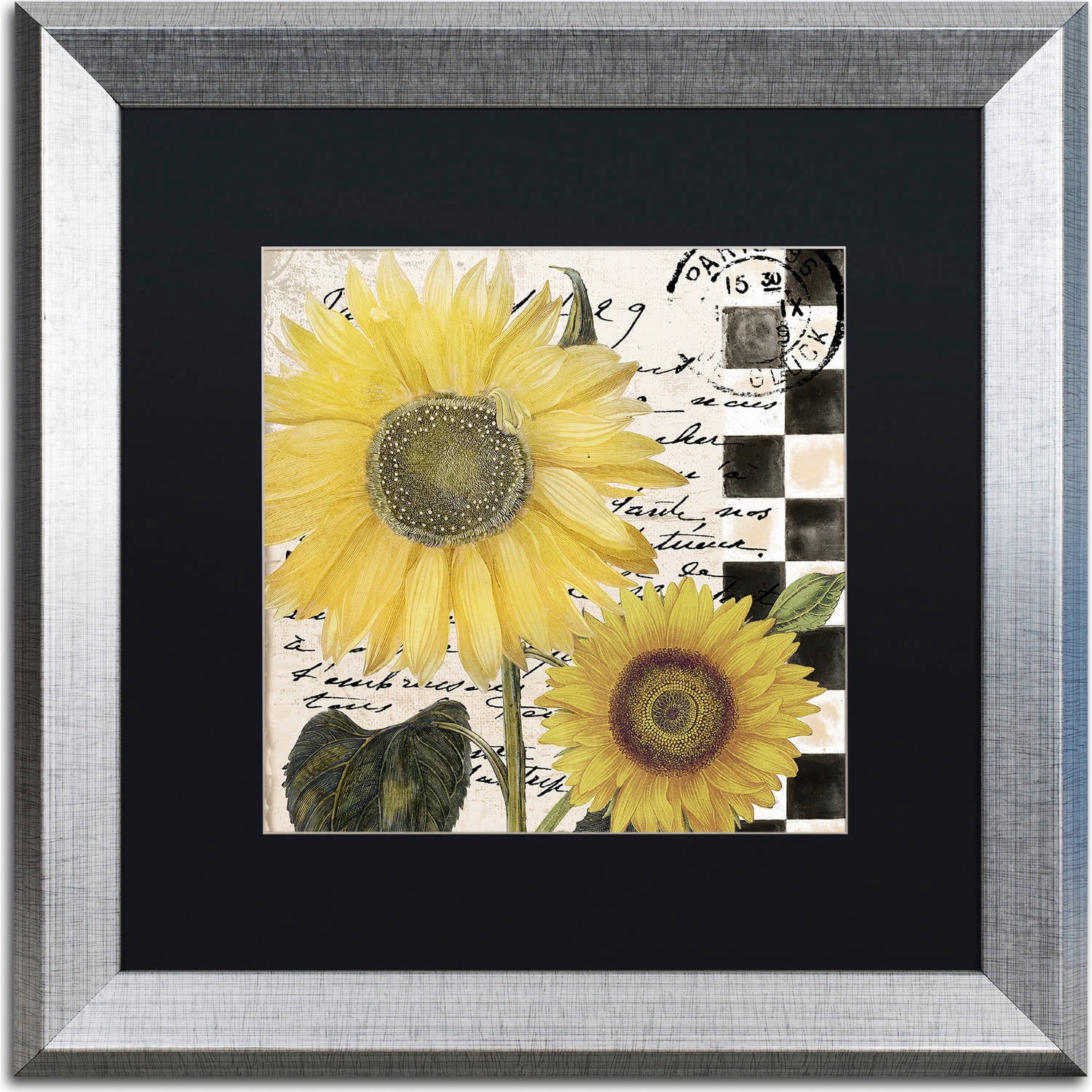 Trademark Fine Art "Late Summer I" Canvas Art by Color Bakery, Black Matte, Silver Frame