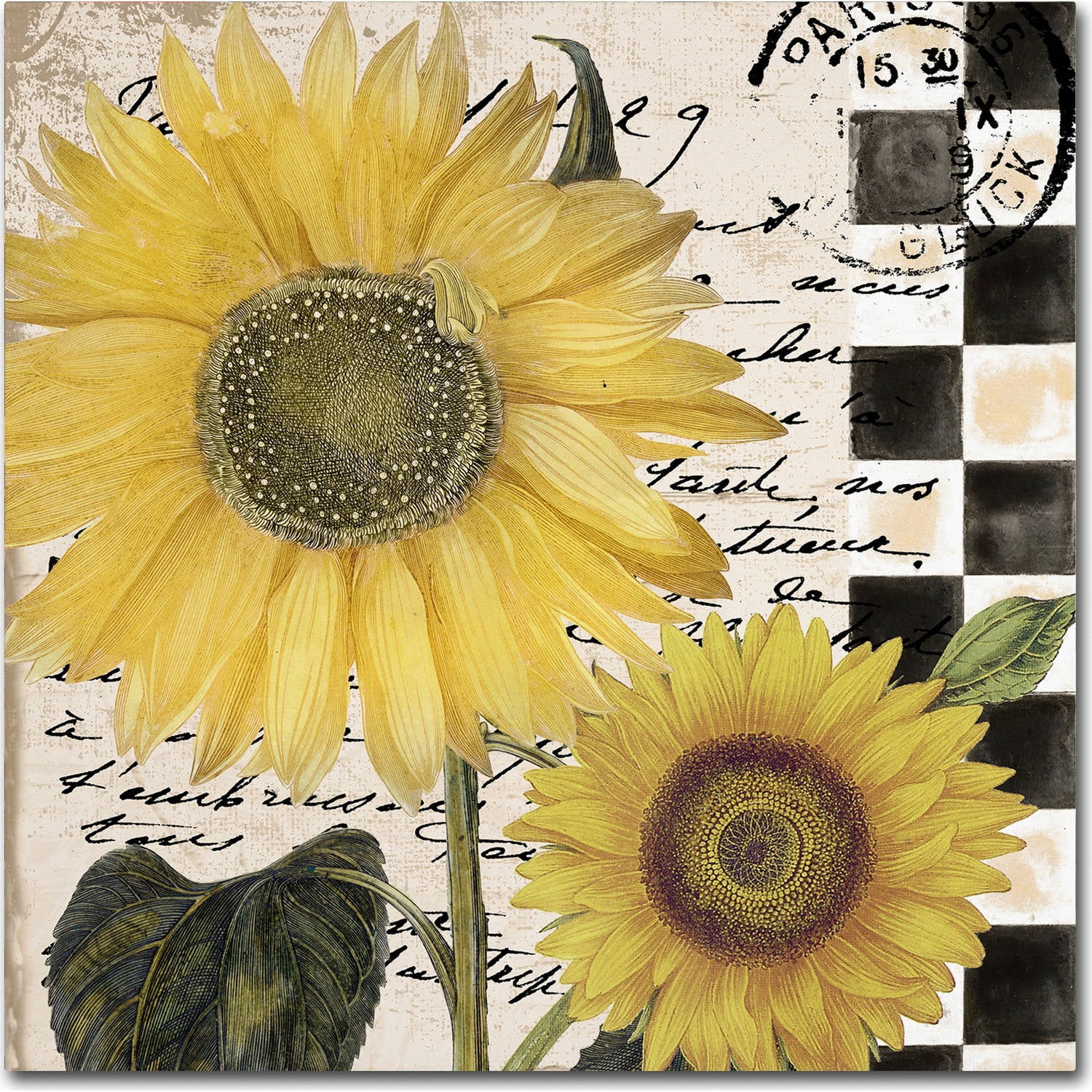 Trademark Fine Art "Late Summer I" Canvas Art by Color Bakery