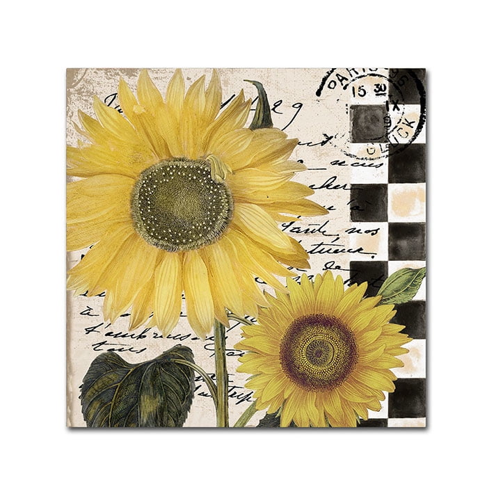 Trademark Fine Art "Late Summer I" Canvas Art by Color Bakery