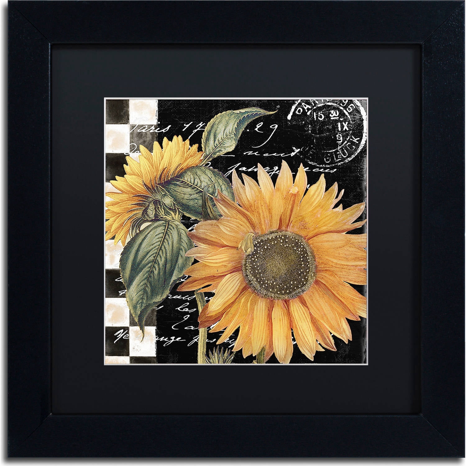 Trademark Fine Art "Late Summer II" Canvas Art by Color Bakery, Black Matte, Black Frame