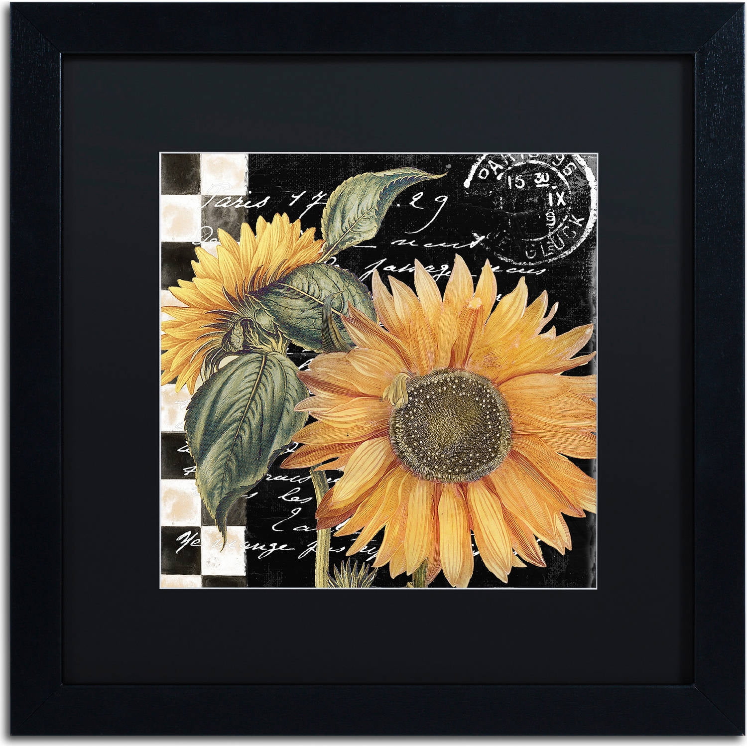 Trademark Fine Art "Late Summer II" Canvas Art by Color Bakery, Black Matte, Black Frame