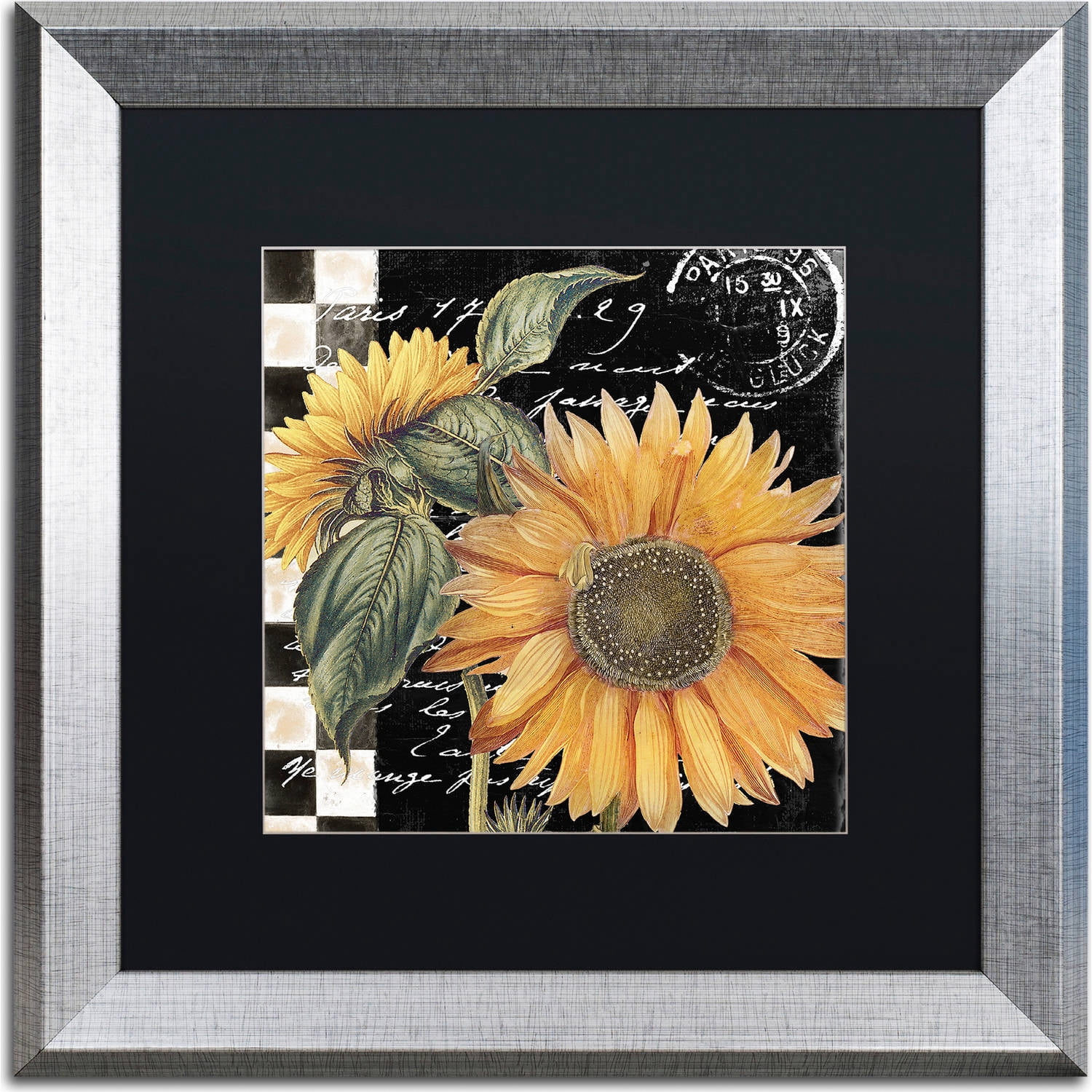 Trademark Fine Art "Late Summer II" Canvas Art by Color Bakery, Black Matte, Silver Frame