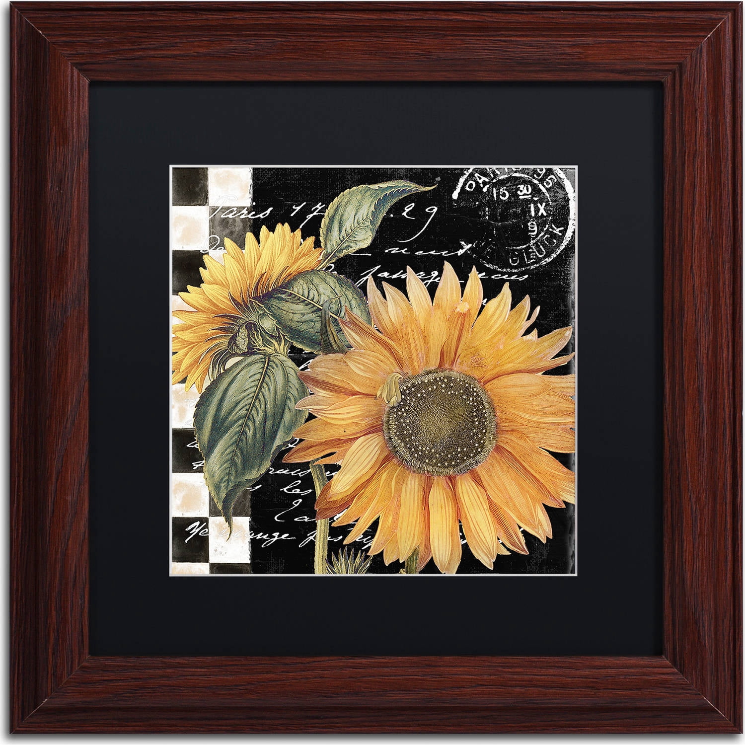 Trademark Fine Art "Late Summer II" Canvas Art by Color Bakery, Black Matte, Wood Frame