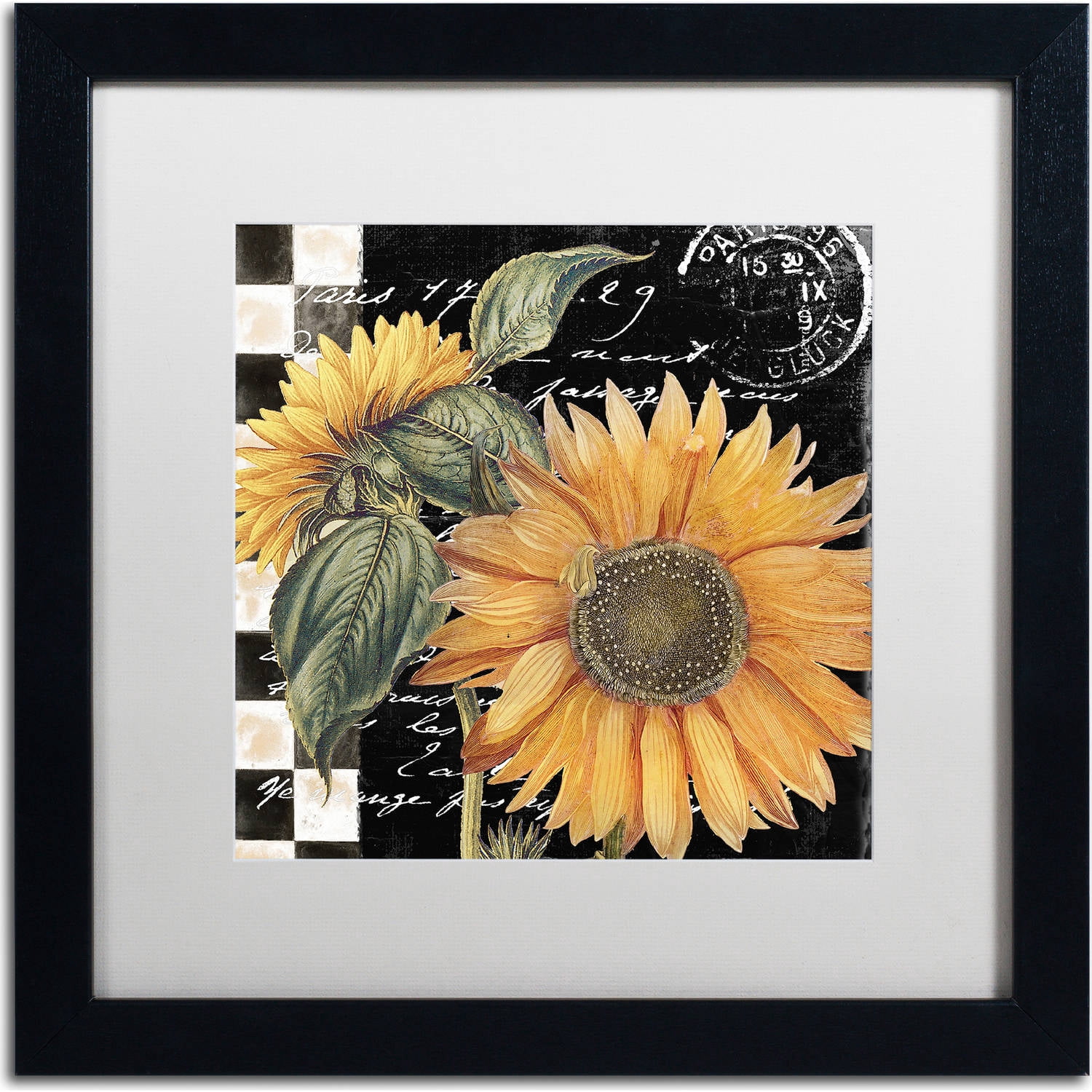 Trademark Fine Art "Late Summer II" Canvas Art by Color Bakery, White Matte, Black Frame