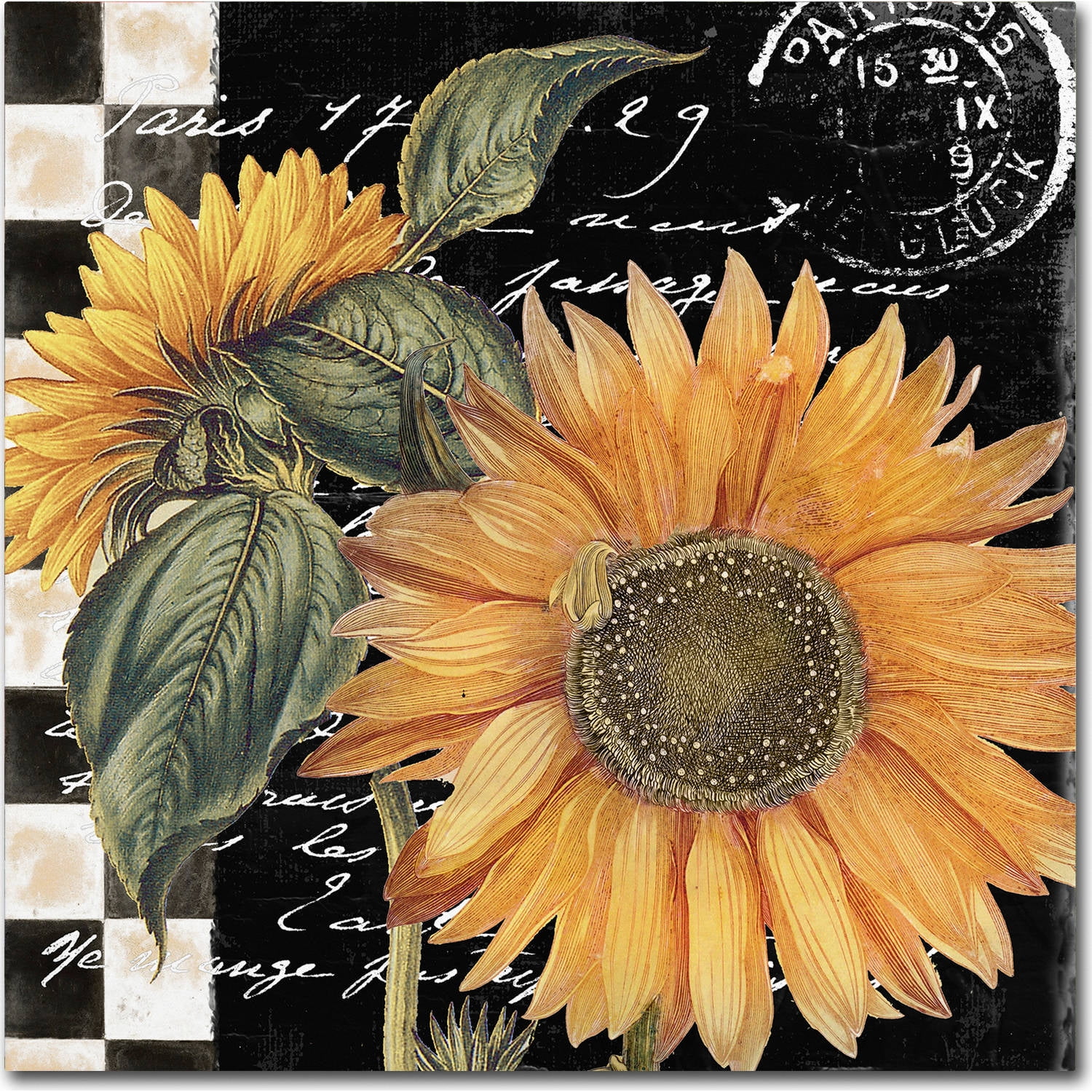 Late Summer II Sunflower Black and Yellow Canvas Art