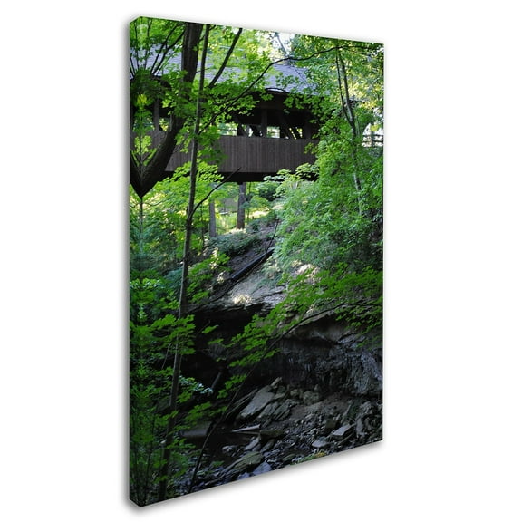 Trademark Fine Art "Latent Bridge" Canvas Art by Monica Fleet