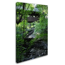 Trademark Fine Art "Latent Bridge" Canvas Art by Monica Fleet