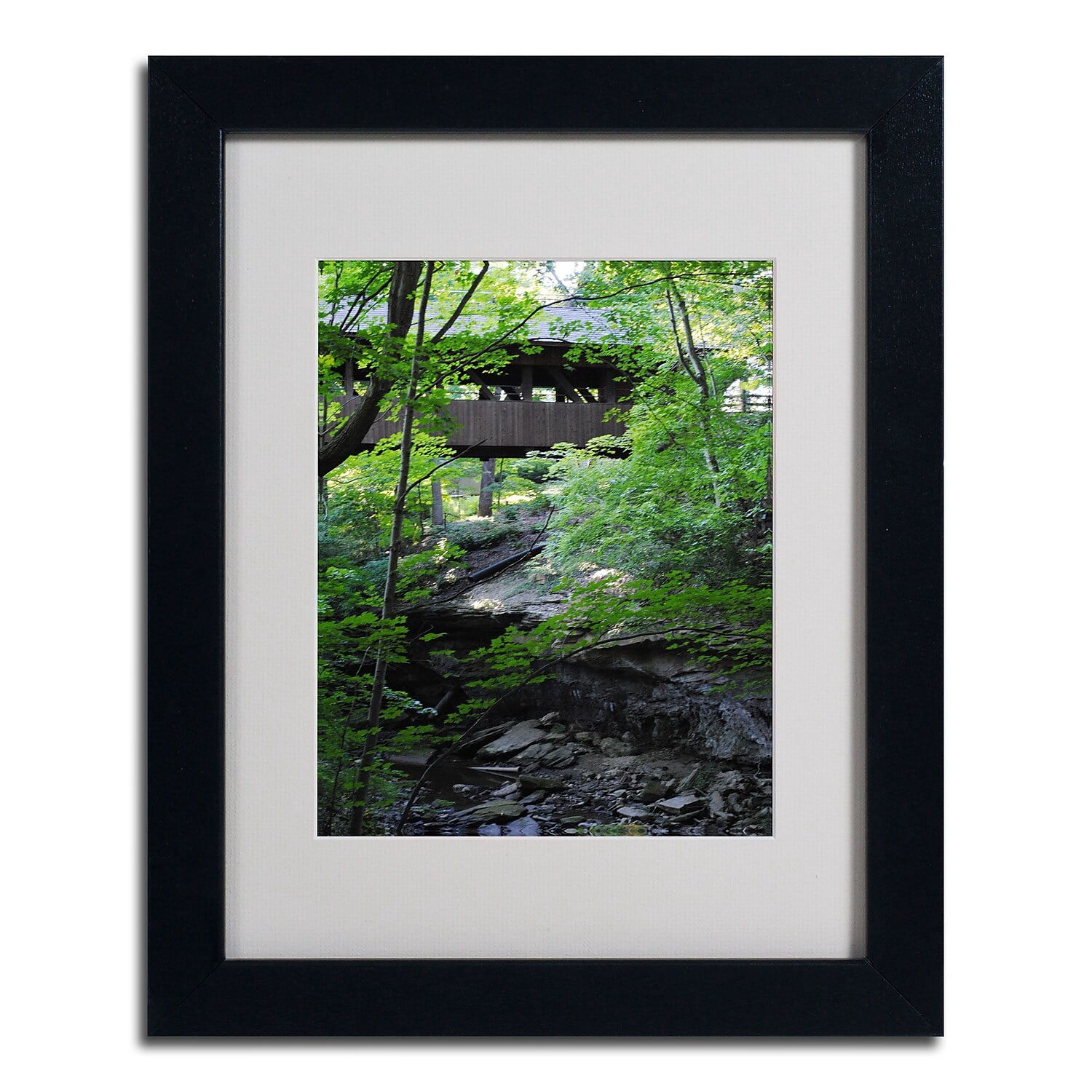Trademark Fine Art "Latent Bridge" by Monica Fleet, Black Frame