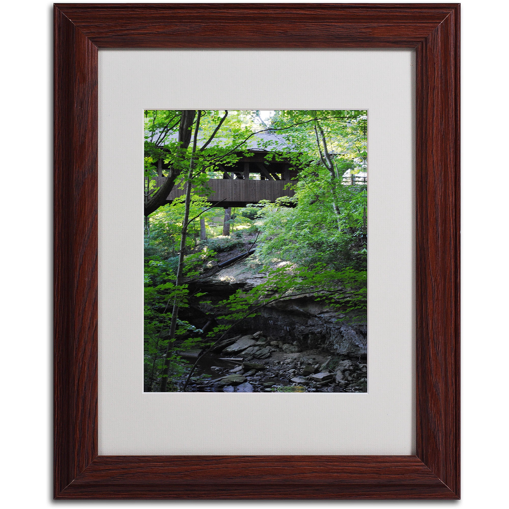Trademark Fine Art "Latent Bridge" by Monica Fleet, Wood Frame