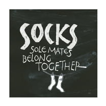 Trademark Fine Art 'Laundry Room III' Canvas Art by Chris Paschke