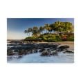 thumbnail image 1 of Trademark Fine Art 'Lava Falls' Canvas Art by Pierre Leclerc, 1 of 3