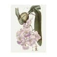 thumbnail image 1 of Trademark Fine Art 'Lavender Beauties V' Canvas Art by Edwards, 1 of 4