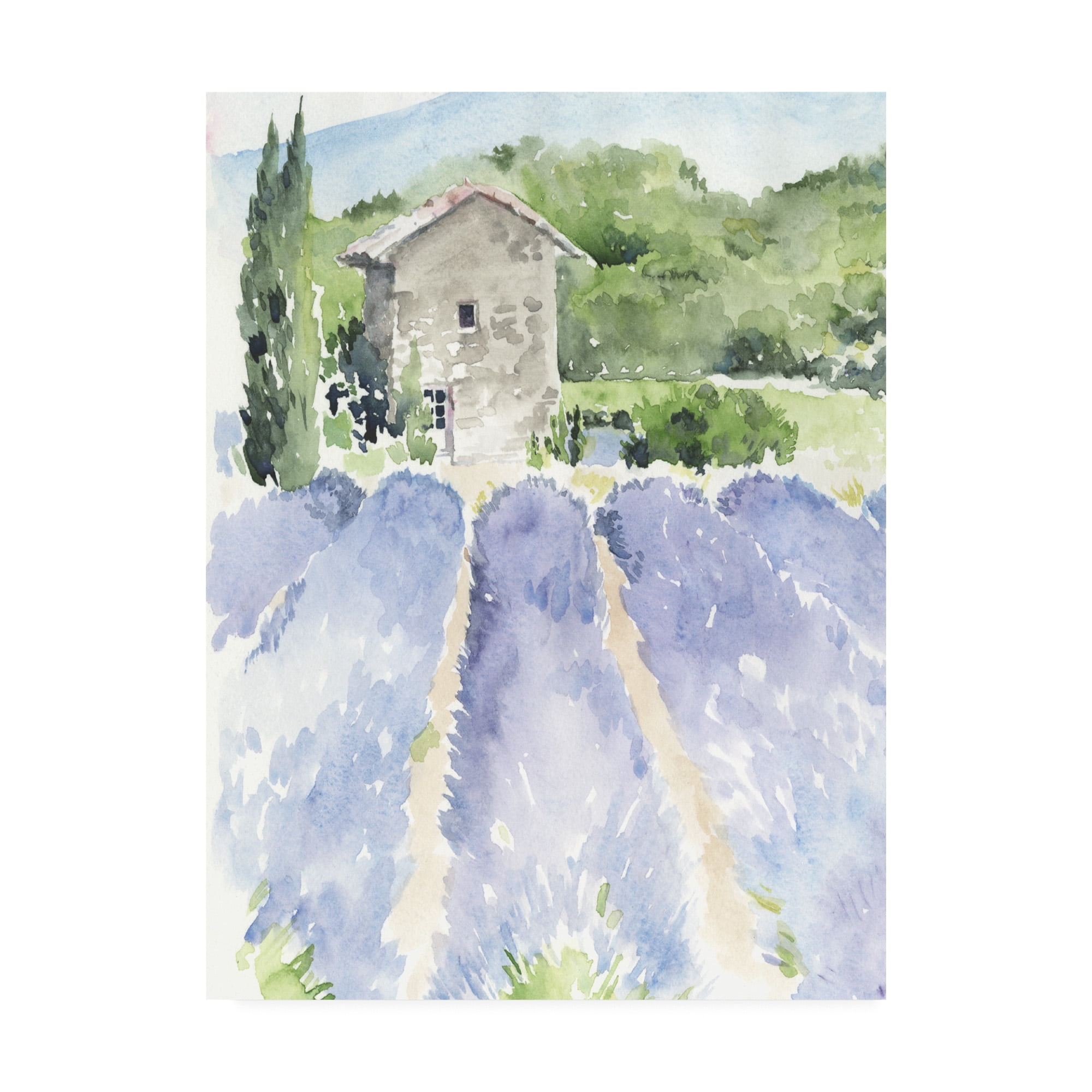 Trademark Fine Art 'Lavender Fields I' Canvas Art by Jennifer Paxton Parker