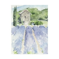 Trademark Fine Art 'Lavender Fields I' Canvas Art by Jennifer Paxton Parker