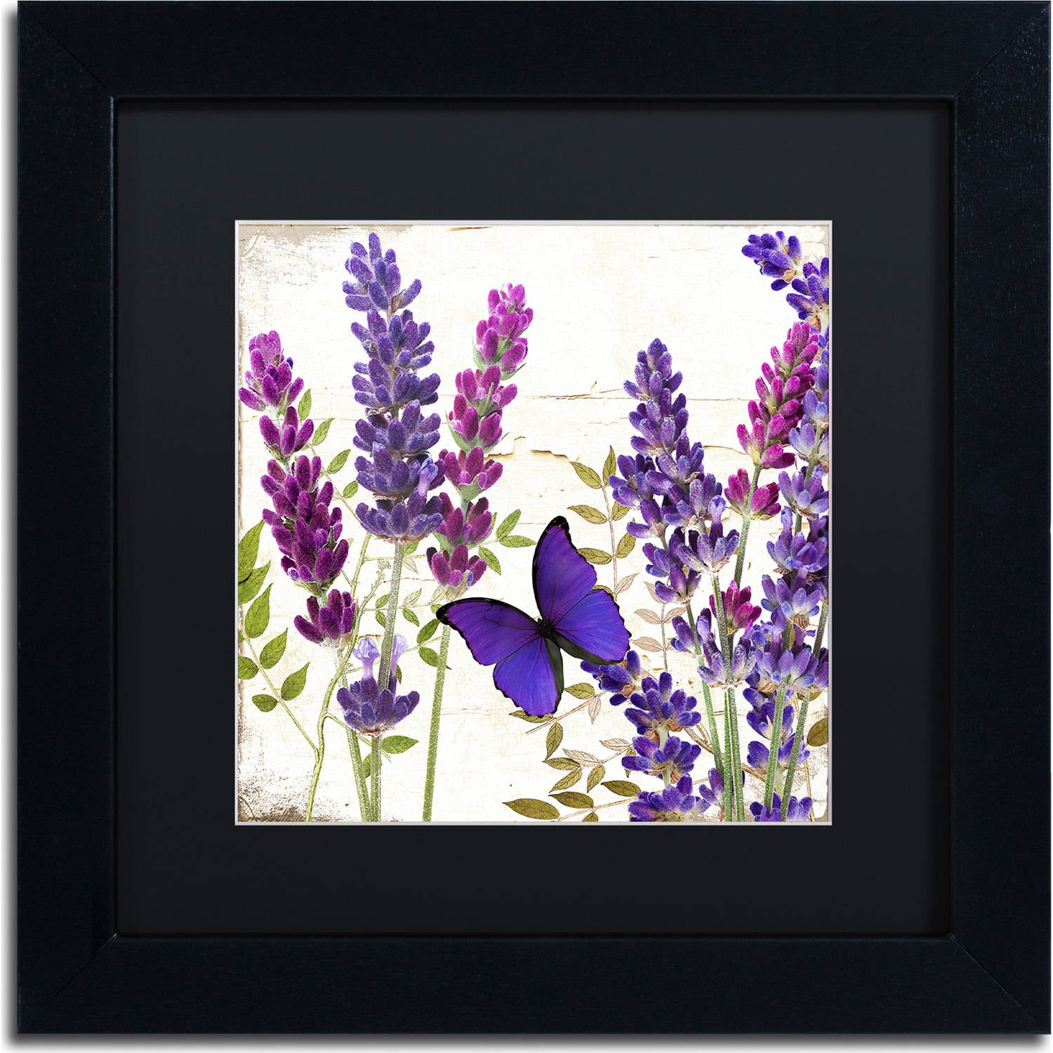 Trademark Fine Art "Lavender I" Canvas Art by Color Bakery, Black Matte, Black Frame
