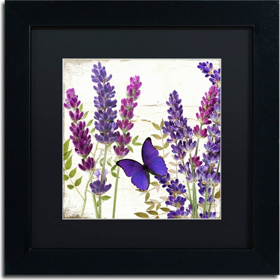 Trademark Fine Art "Lavender I" Canvas Art by Color Bakery, Black Matte, Black Frame