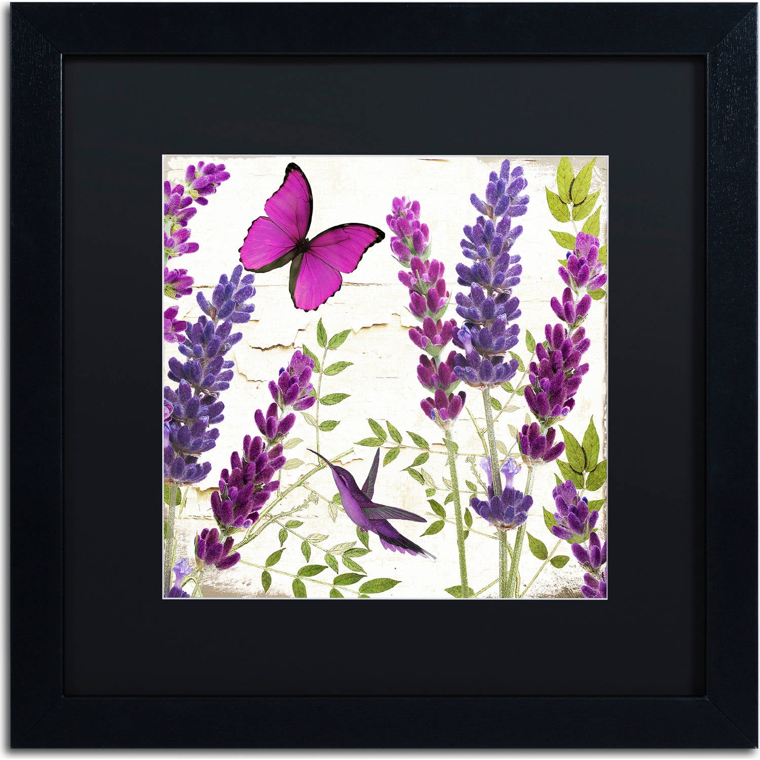 Trademark Fine Art "Lavender II" Canvas Art by Color Bakery, Black Matte, Black Frame