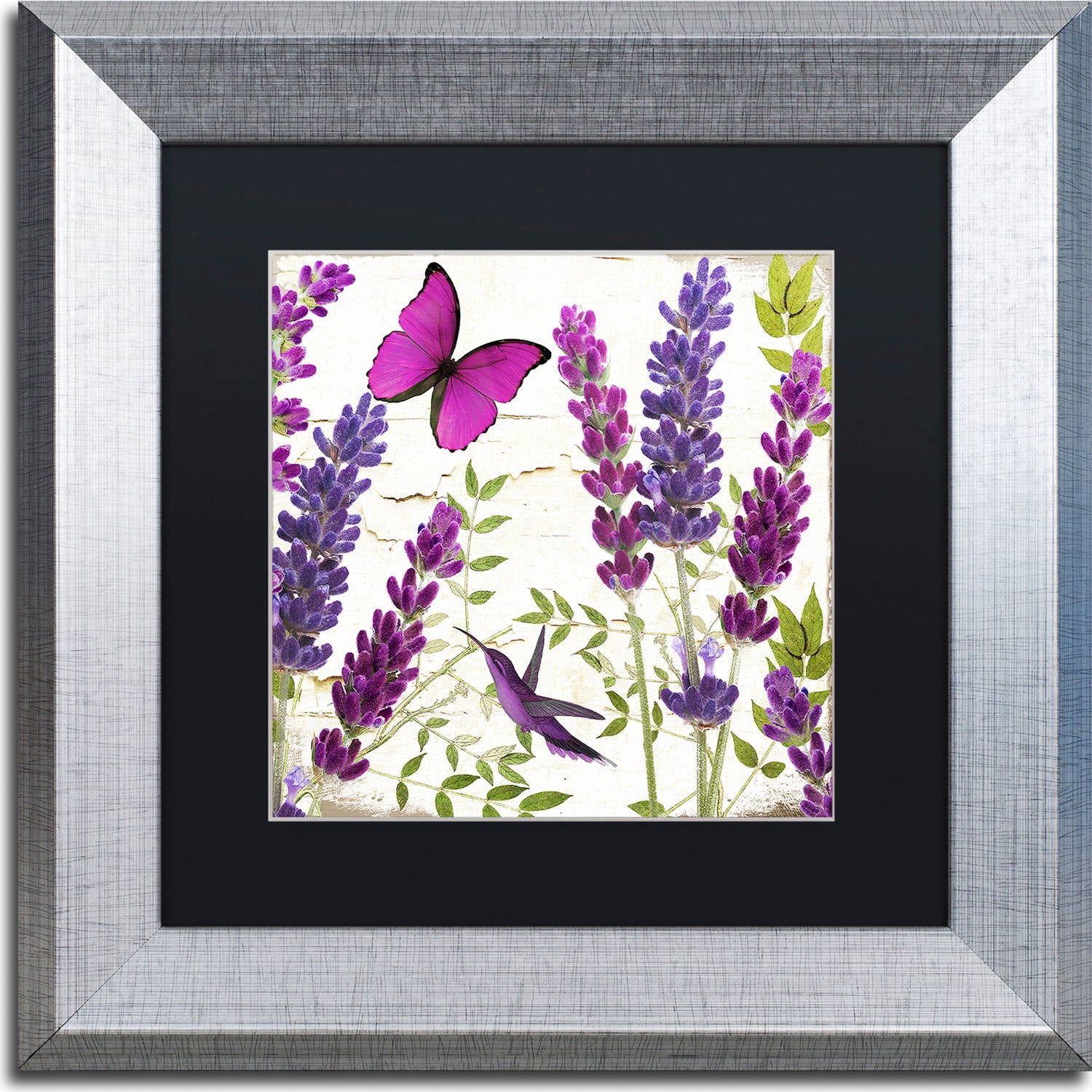 Trademark Fine Art "Lavender II" Canvas Art by Color Bakery, Black Matte, Silver Frame
