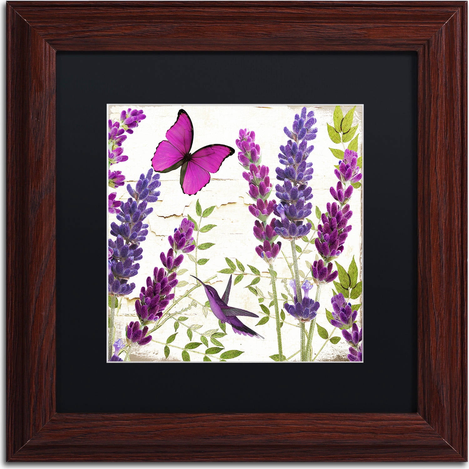 Trademark Fine Art "Lavender II" Canvas Art by Color Bakery, Black Matte, Wood Frame