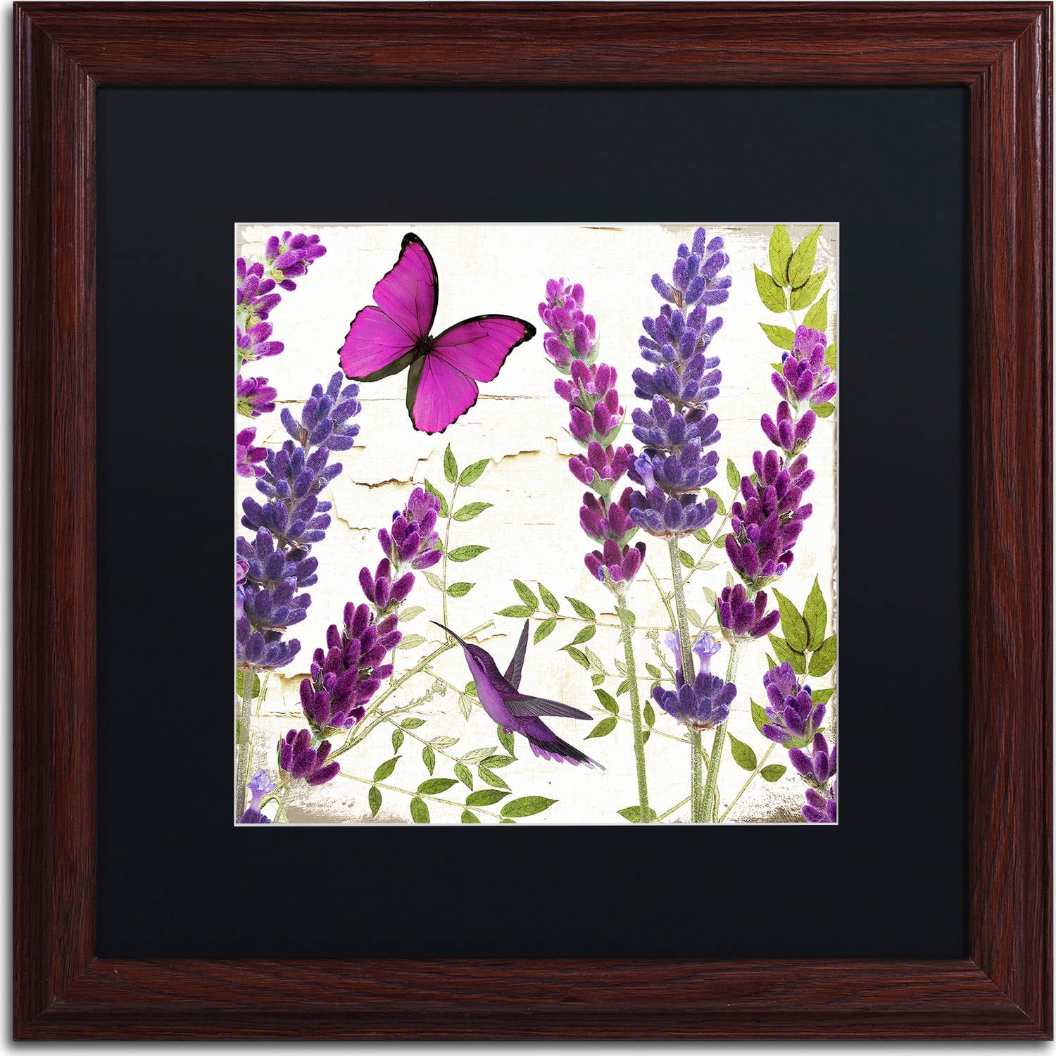 Trademark Fine Art "Lavender II" Canvas Art by Color Bakery, Black Matte, Wood Frame