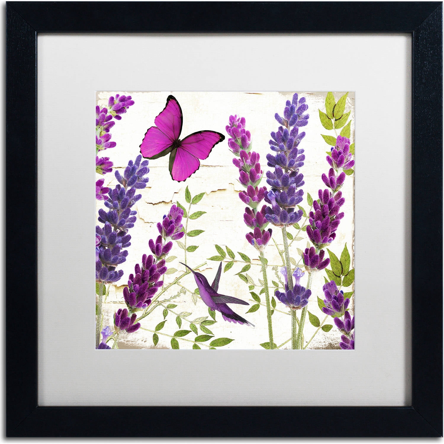 Trademark Fine Art "Lavender II" Canvas Art by Color Bakery, White Matte, Black Frame